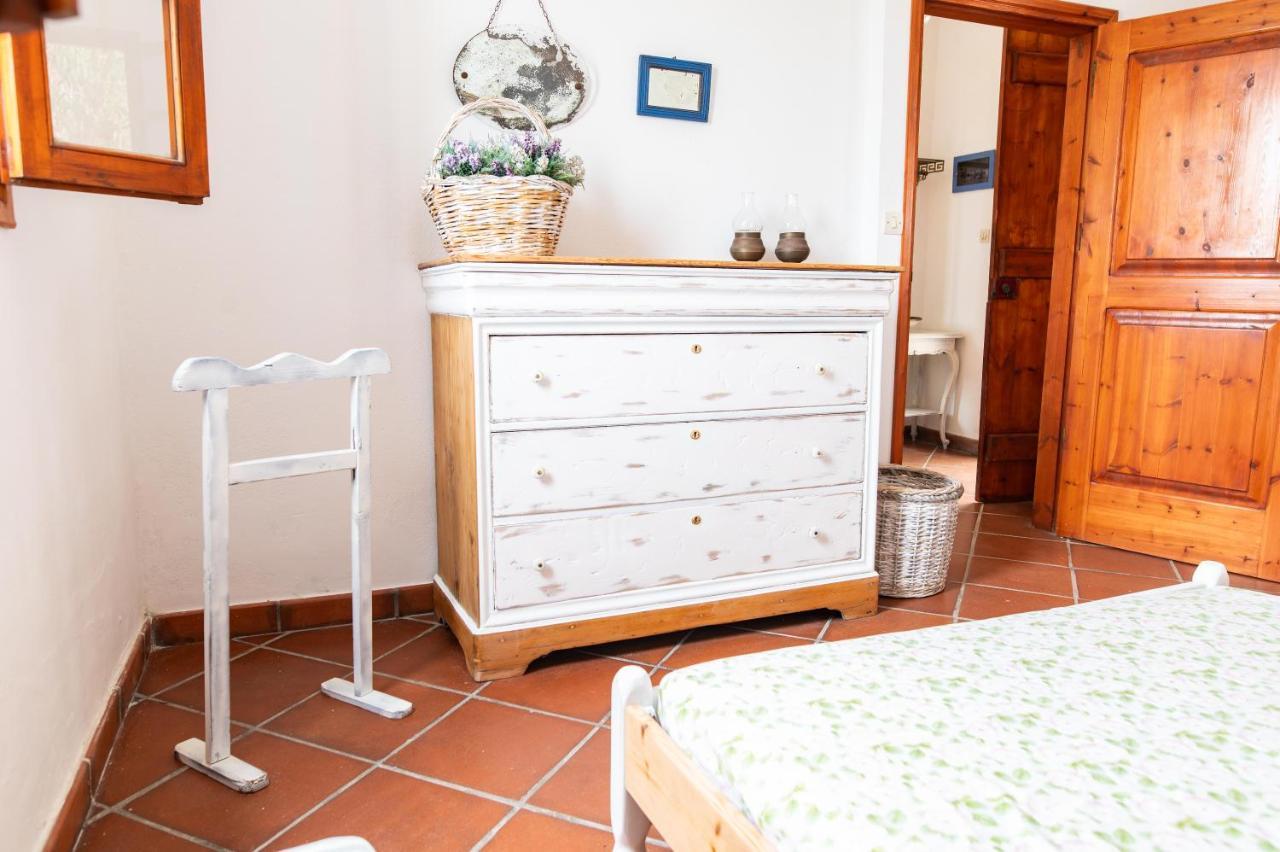 Ficus Traditional Apartments Kéfalos エクステリア 写真