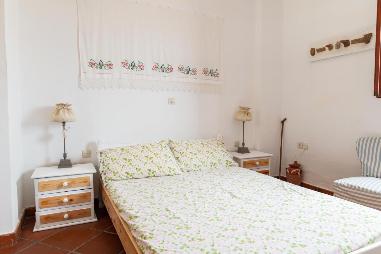 Ficus Traditional Apartments Kéfalos エクステリア 写真
