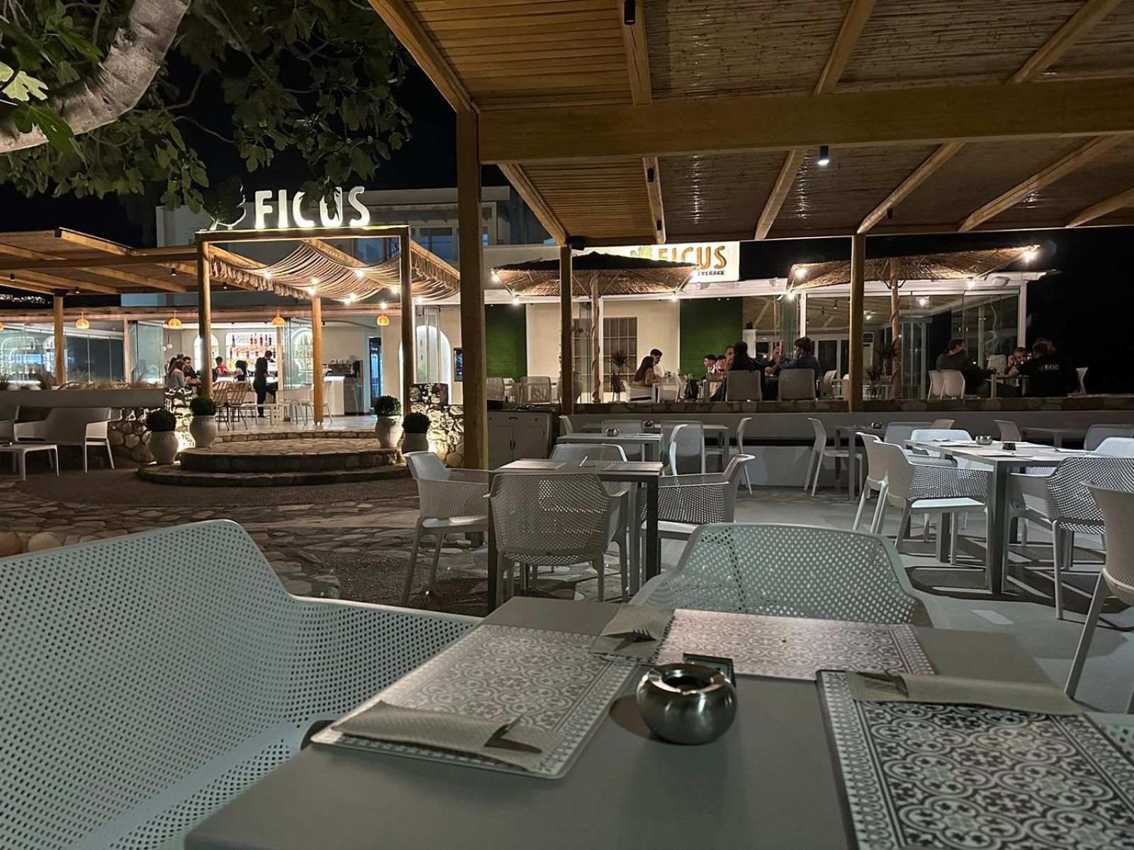 Ficus Traditional Apartments Kéfalos エクステリア 写真