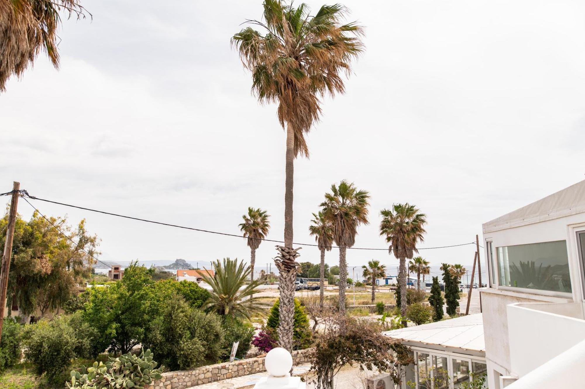 Ficus Traditional Apartments Kéfalos エクステリア 写真