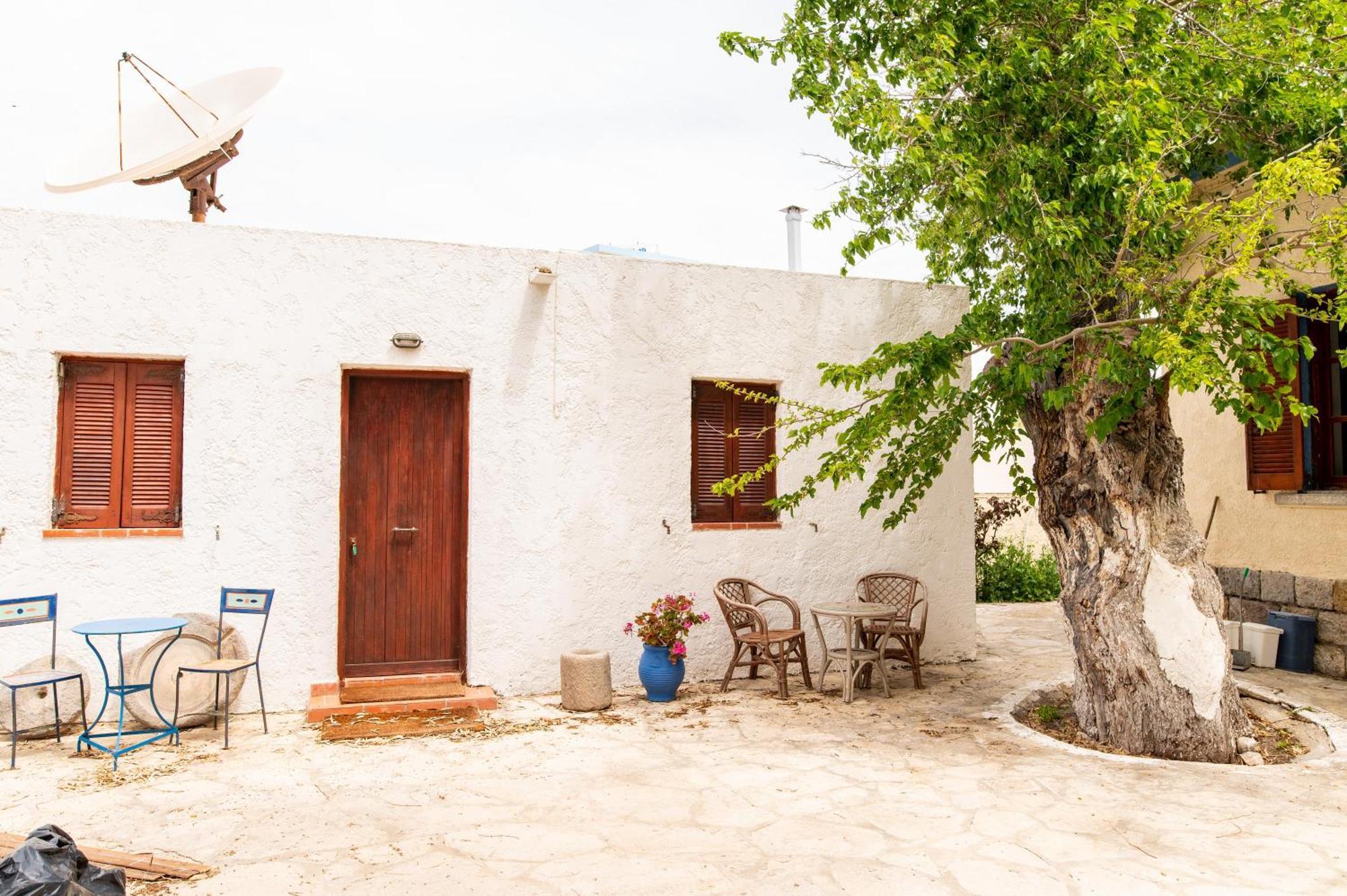 Ficus Traditional Apartments Kéfalos エクステリア 写真