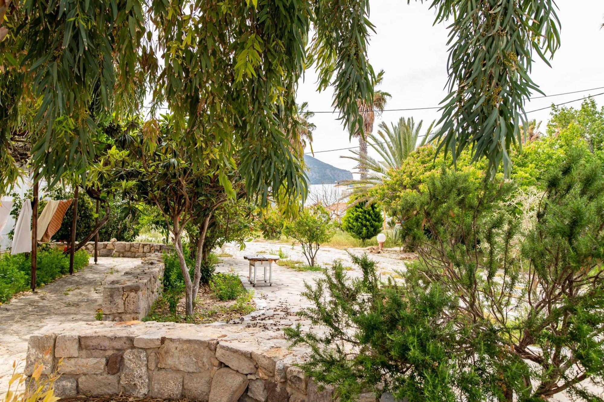 Ficus Traditional Apartments Kéfalos エクステリア 写真